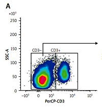 The phenotype of CD3–CD56bright and CD3–CD56dim natural killer cells in systemic lupus erythematosus patients and its relation to disease activity