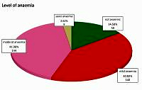 The significance of awareness about iron deficiency anaemia in its prevention among Iraqi pregnant women attending primary healthcare centres