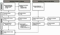 Association of endometriosis with human papillomavirus
(HPV) infection: a systematic review
