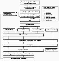 Position of an expert panel on diagnosis
of treatment of irritable bowel syndrome