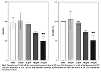 Campesterol induces apoptosis and inhibits proliferation in HepG2 liver cancer cells