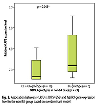 Potential role of NLRP3 genetic polymorphism and gene expression in differentiating causes of neonatal cholestasis