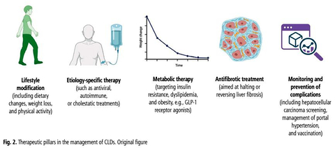 Recent advances in the treatment of chronic liver diseases: focus on MASLD/MASH-related fibrosis
