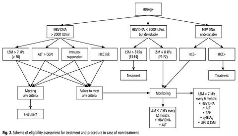 Recommendations for treatment of viral hepatitis B in 2026 by the Polish Group of Experts for HBV