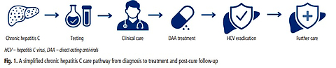 Management of HCV-infected patients after successful direct-acting antiviral therapy