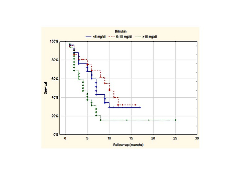 The role of endoscopic biliary drainage in access to systemic chemotherapy in patients with malignant biliary obstruction