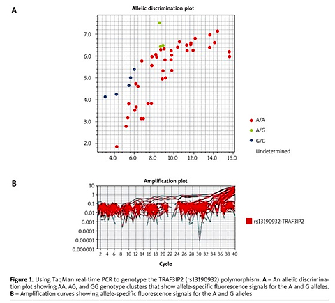TRAF3IP2 (rs13190932) polymorphism in psoriasis and psoriatic arthritis: susceptibility, systemic inflammation and response to methotrexate