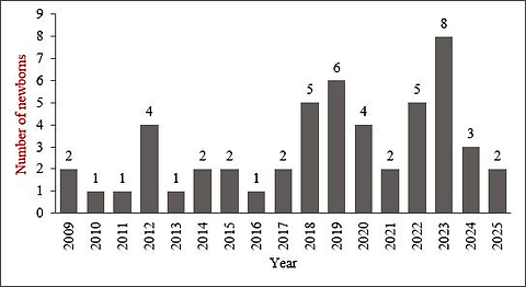 Cleft lip and palate in newborns: 17 years of institutional research and clinical experience