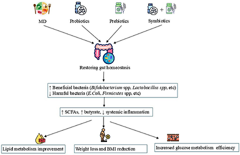 Modification of gut microbiota in the treatment of childhood obesity