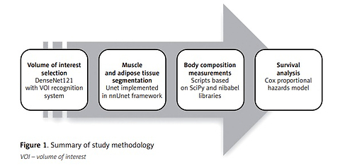 Artificial intelligence-driven body composition analysis and its association with survival in patients with colorectal liver metastases