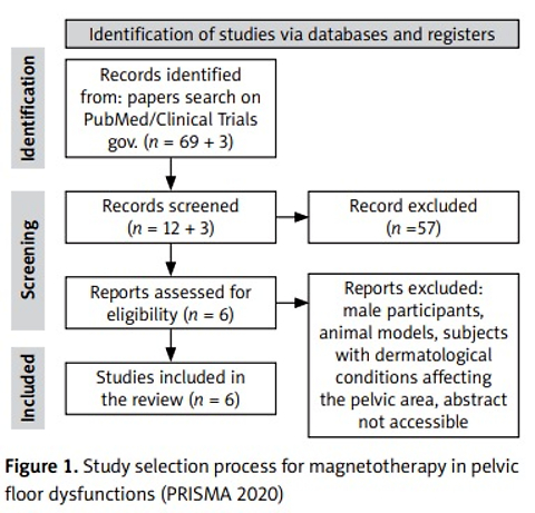 Magnetotherapy application to the pelvic floor dysfunctions: a systematic review