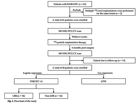 Predicting the efficacy of iodine-125 seed implantation therapy for metastatic lesions of radioiodine-refractory differentiated thyroid cancer using pre-operative PET/CT parameters: A clinical study