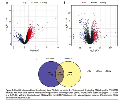 Integrated multi-omics and experimental analyses identify JUNB as a candidate biomarker associated with immune-related processes in psoriasis