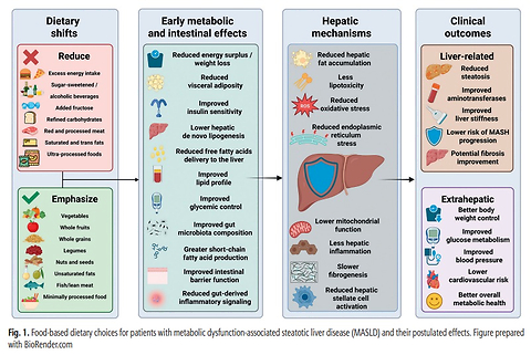 Dietary interventions in metabolic dysfunction-associated steatotic liver disease: current evidence, research priorities, and clinical translation