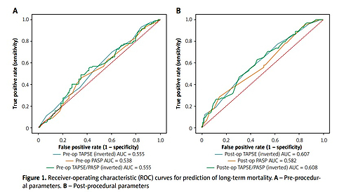 Prognostic value of pre- and post-procedural TAPSE/PASP ratio for long-term mortality in patients with left ventricular ejection fraction < 50% undergoing transcatheter aortic valve implantation
