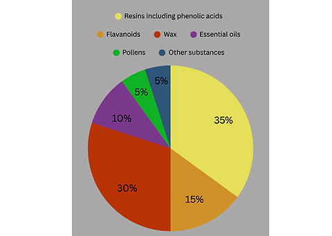 Propolis – the medicinal nectar enhancing pediatric dental care: a review of literature