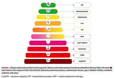 Harmfulness of traditional and alternative tobacco and nicotine products: focusing on cardiovascular, metabolic, respiratory and cancer risk