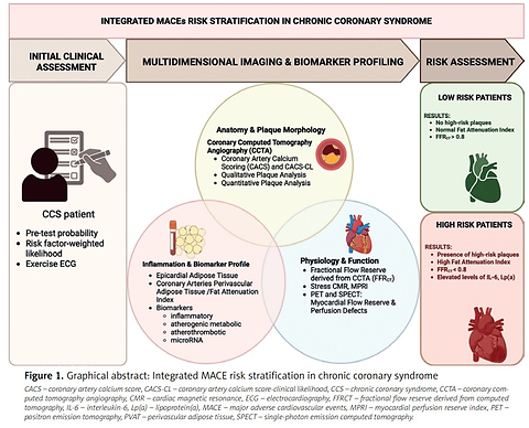 Non-invasive methods of risk assessment in patients with chronic coronary syndrome: which patients will experience an acute event?