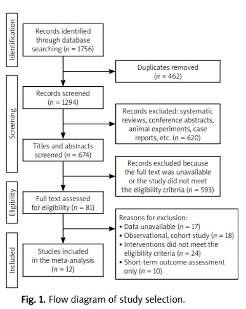 The impact of early rehabilitation on outcomes in patients with acute stroke: a meta-analysis
