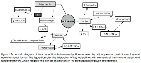 The role of adipokines in the inflammatory theory of depression: mechanisms and therapeutic applications