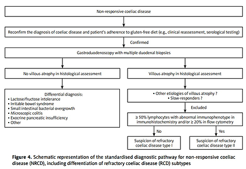 Guidelines for the management of coeliac disease: recommendations of the Intestinal Diseases Section of the Polish Society of Gastroenterology