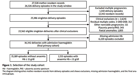 Maternal antepartum anaemia and its association with transfusion and perinatal outcomes: a 10-year retrospective cohort study