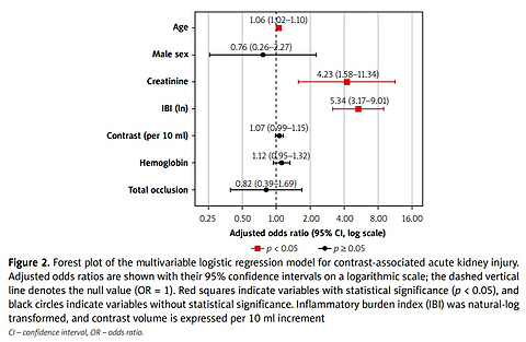 Inflammatory burden index and contrast-associated acute kidney injury after iliac artery endovascular intervention: association with renal injury and lesion complexity