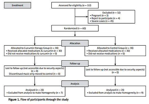 Effectiveness of curcumin in achieving clinical remission and reducing disease activity in ulcerative colitis: a randomised, controlled trial