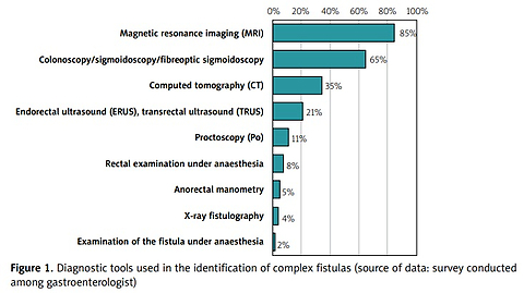 Determination of the approach of Polish gastroenterologists and surgeons to the diagnosis and treatment of complex cases of Crohn’s disease-related perianal fistulas
