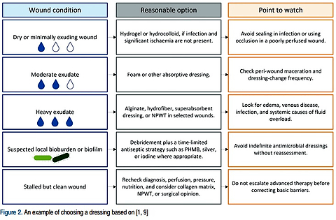 A practical clinical algorithm for chronic wound management