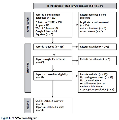 Barriers to discussing sexuality in nursing practice: a systematic review