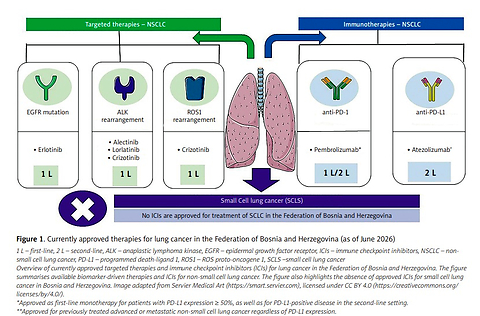 Precision oncology for lung cancer in the Federation of Bosnia and Herzegovina: current access and unmet needs
