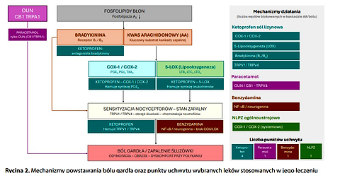Ból w obrębie gardła i jamy ustnej – geneza, diagnostyka, leczenie. Stanowisko ekspertów