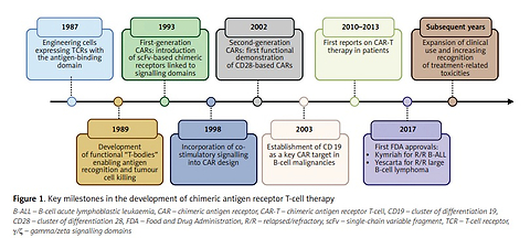 Ophthalmic complications associated with chimeric antigen receptor T-cell therapy: a review of current evidence