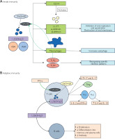 /f/fulltexts/PD/58099/PD-113-58099-g002_min.jpg
