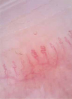 /f/fulltexts/PDIA/57558/PDIA-43-1-57558-g001_min.jpg
