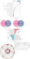 /f/fulltexts/PDIA/57962/PDIA-43-2-57962-g004_min.jpg