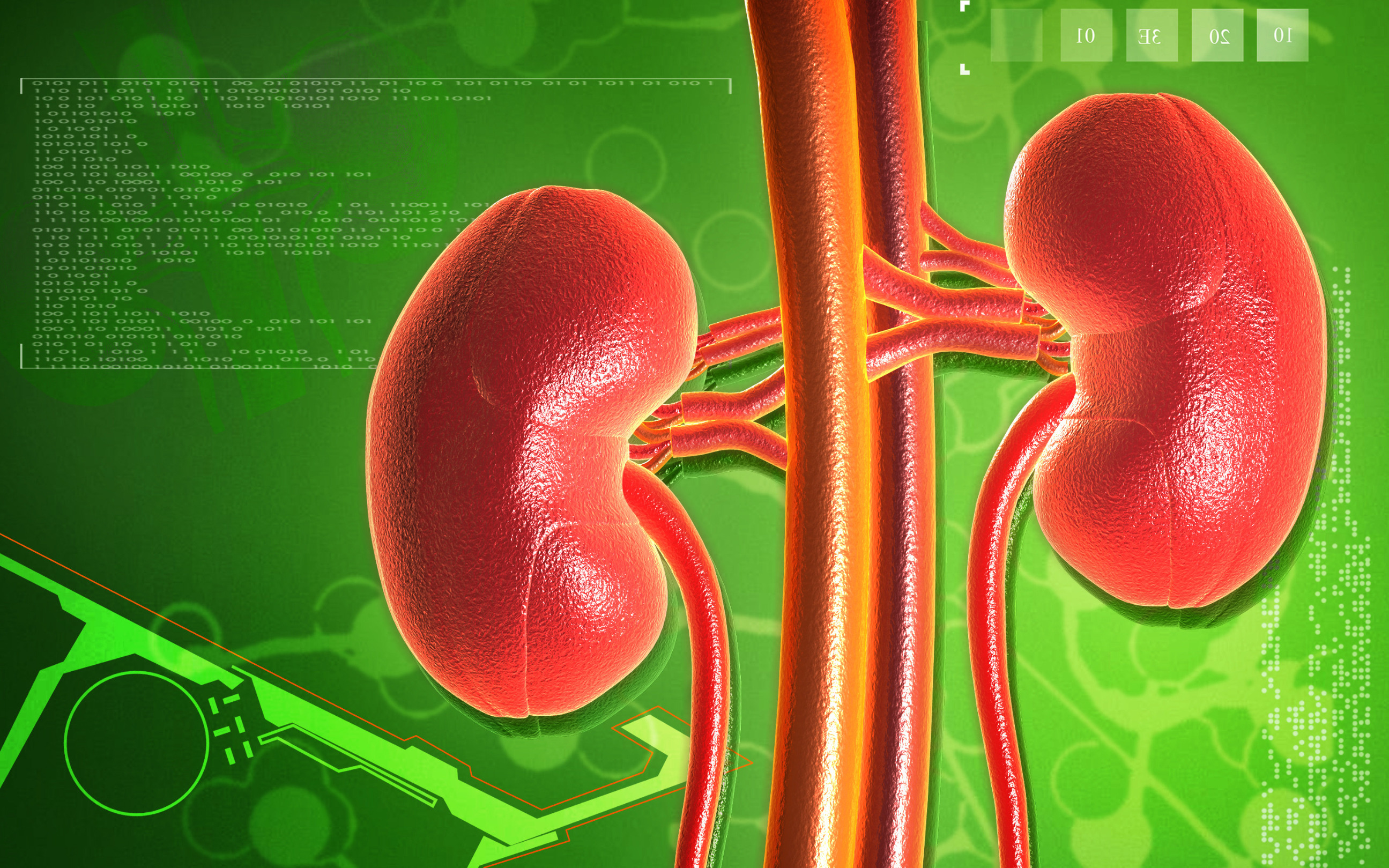 Kabozantynib w skojarzeniu z niwolumabem i ipilimumabem wydłuża PFS pacjentów z rakiem nerki