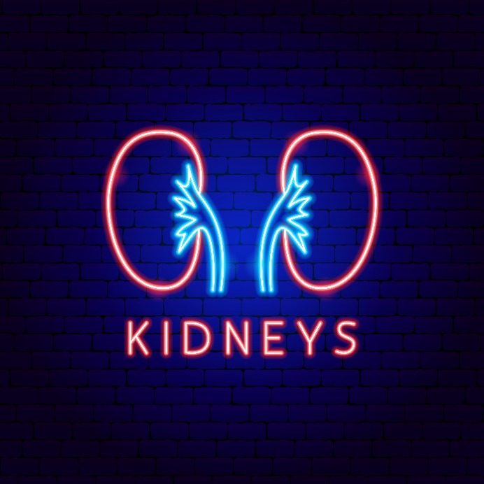 Zmniejszenie populacji limfocytów B kluczem do terapii toczniowego zapalenia nerek