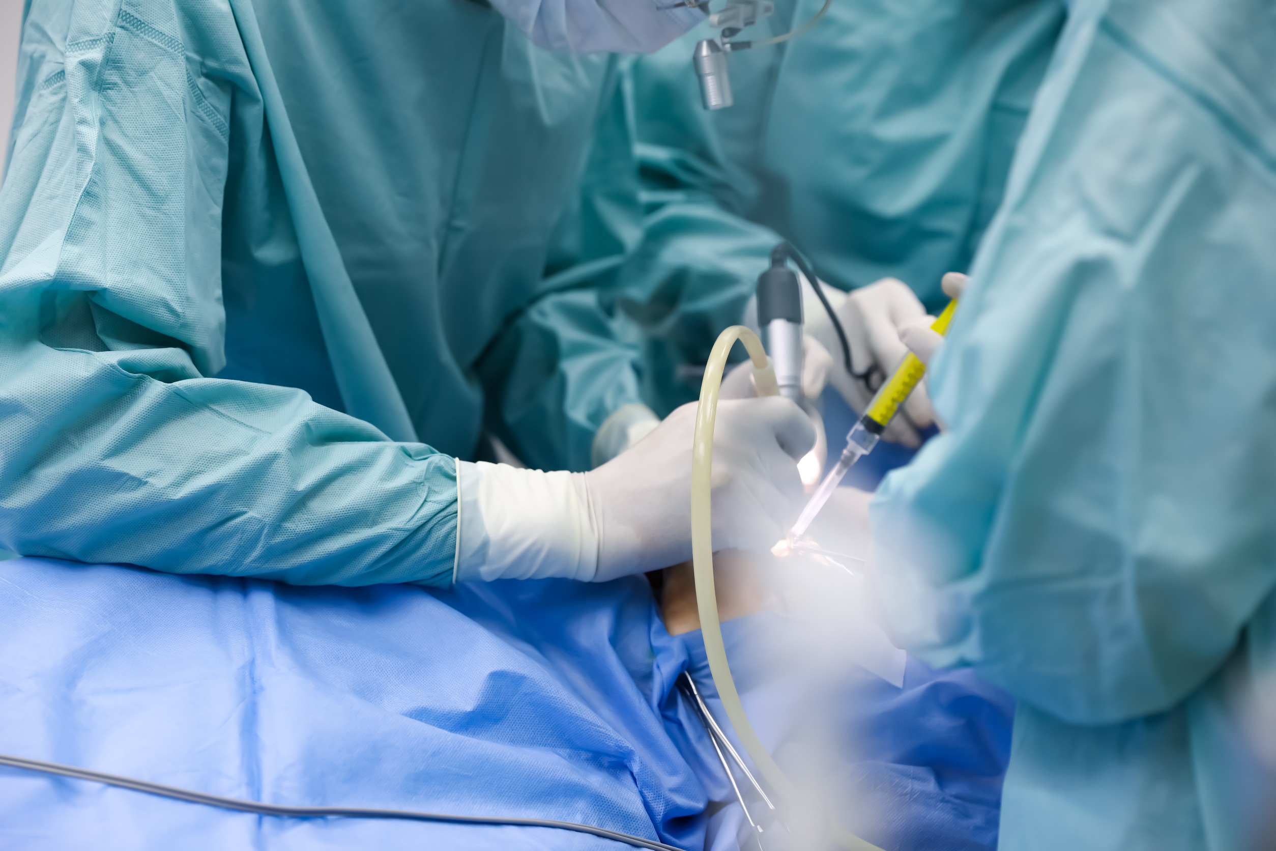 Genetycznie zmodyfikowane świnie mogą być dawcami organów dla ludzi