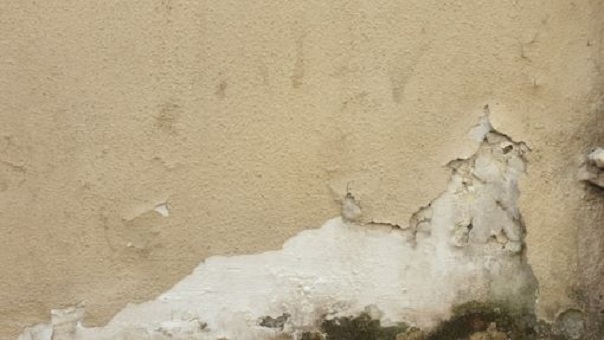 Jakie choroby może wywołać grzyb na ścianie i jak odgrzybić dom