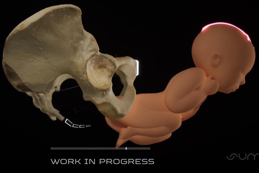 Nowatorski atlas porodu 3D dla studentów