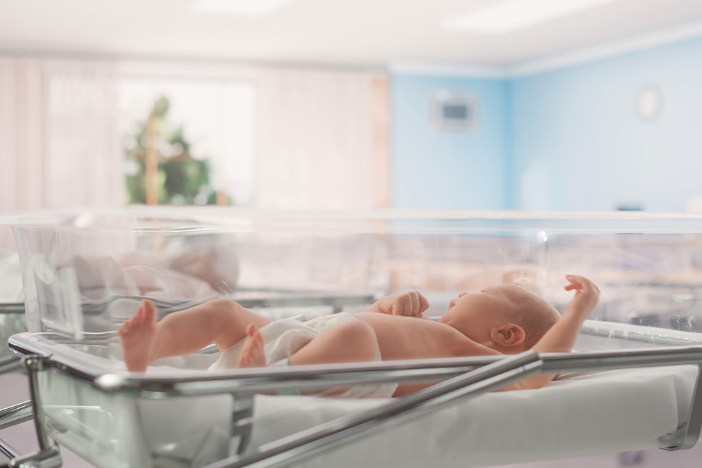 Baby boom – z in vitro
