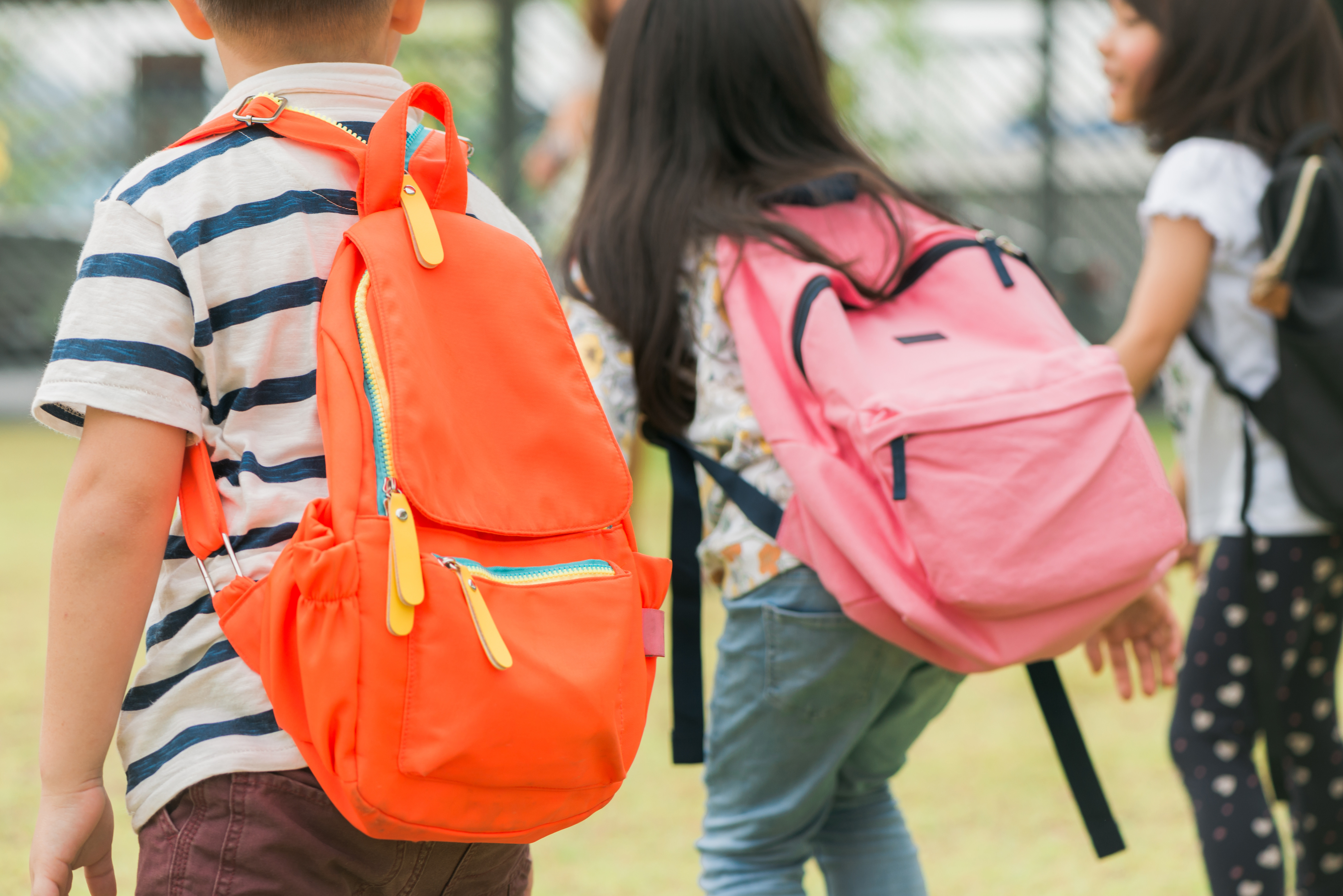 Parlamentarne zespoły dyskutowały o edukacji zdrowotnej