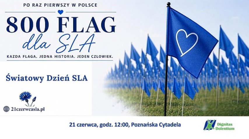 800 błękitnych flag na...